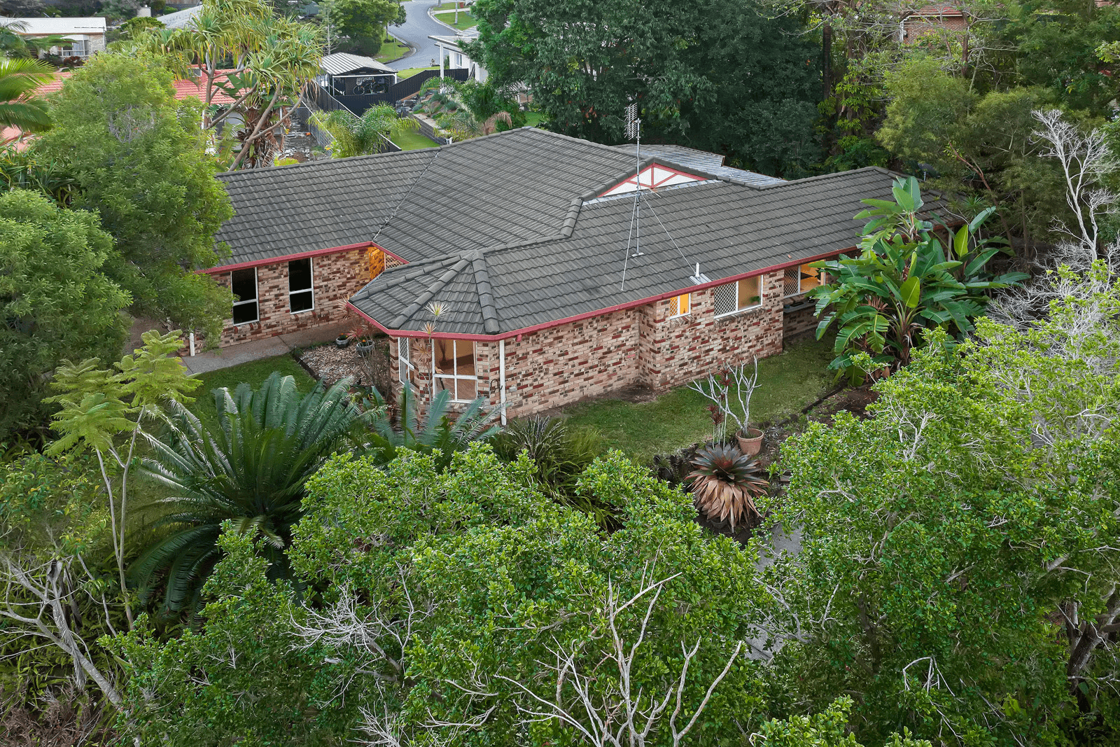 14 Hoop Pine Court, BUDERIM, QLD 4556