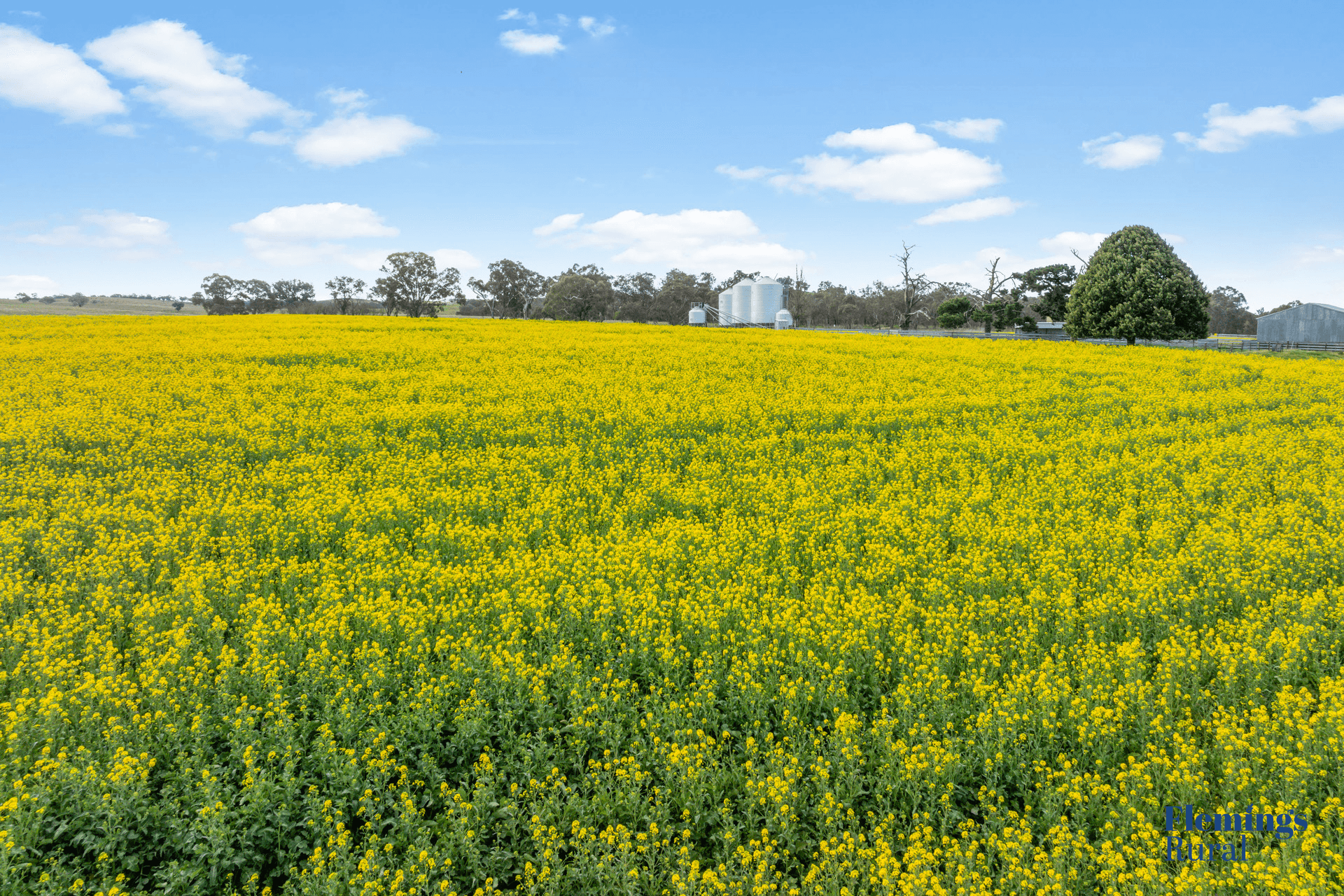 482 Rugby Road, Boorowa, NSW 2586