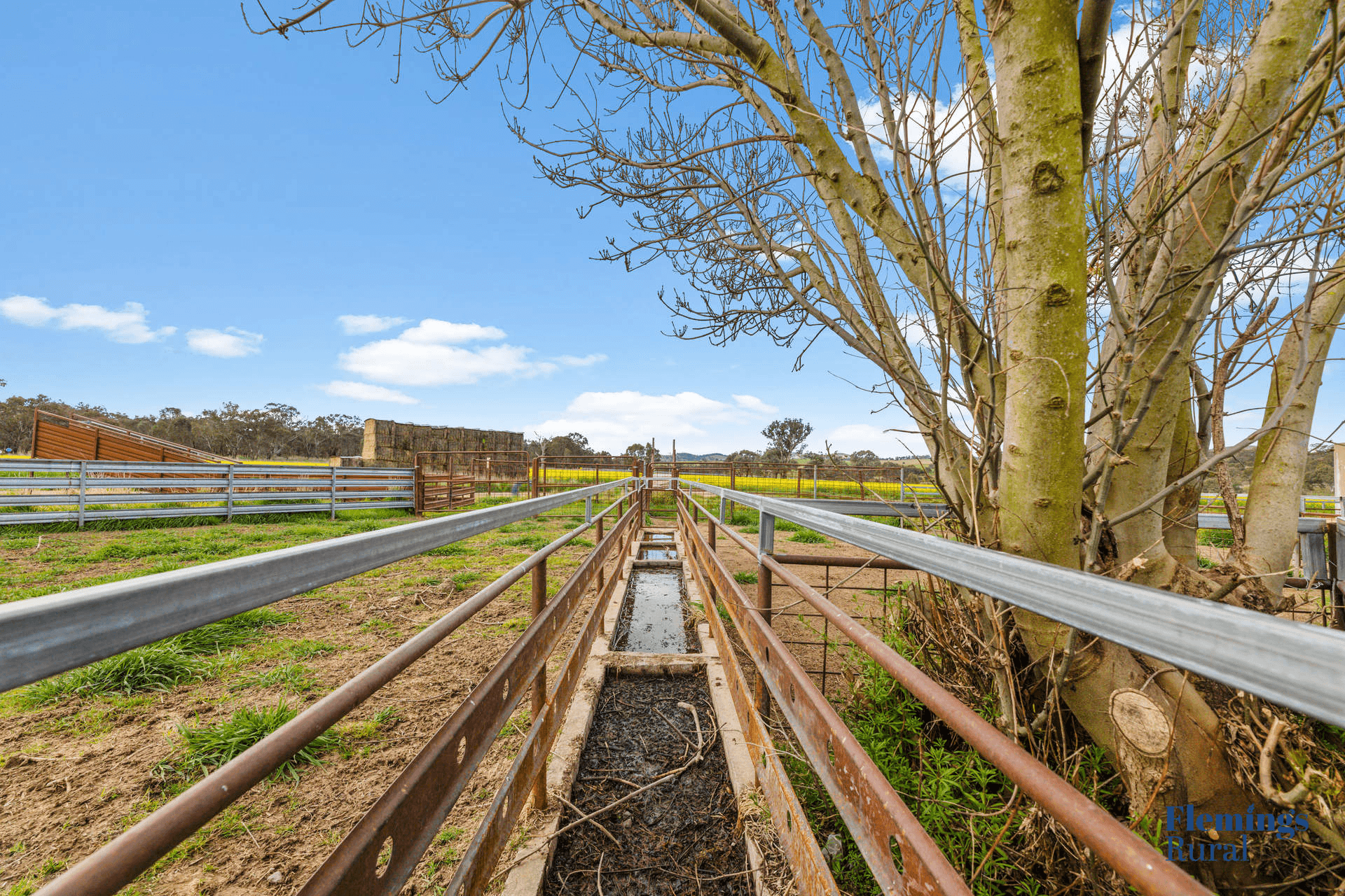 482 Rugby Road, Boorowa, NSW 2586