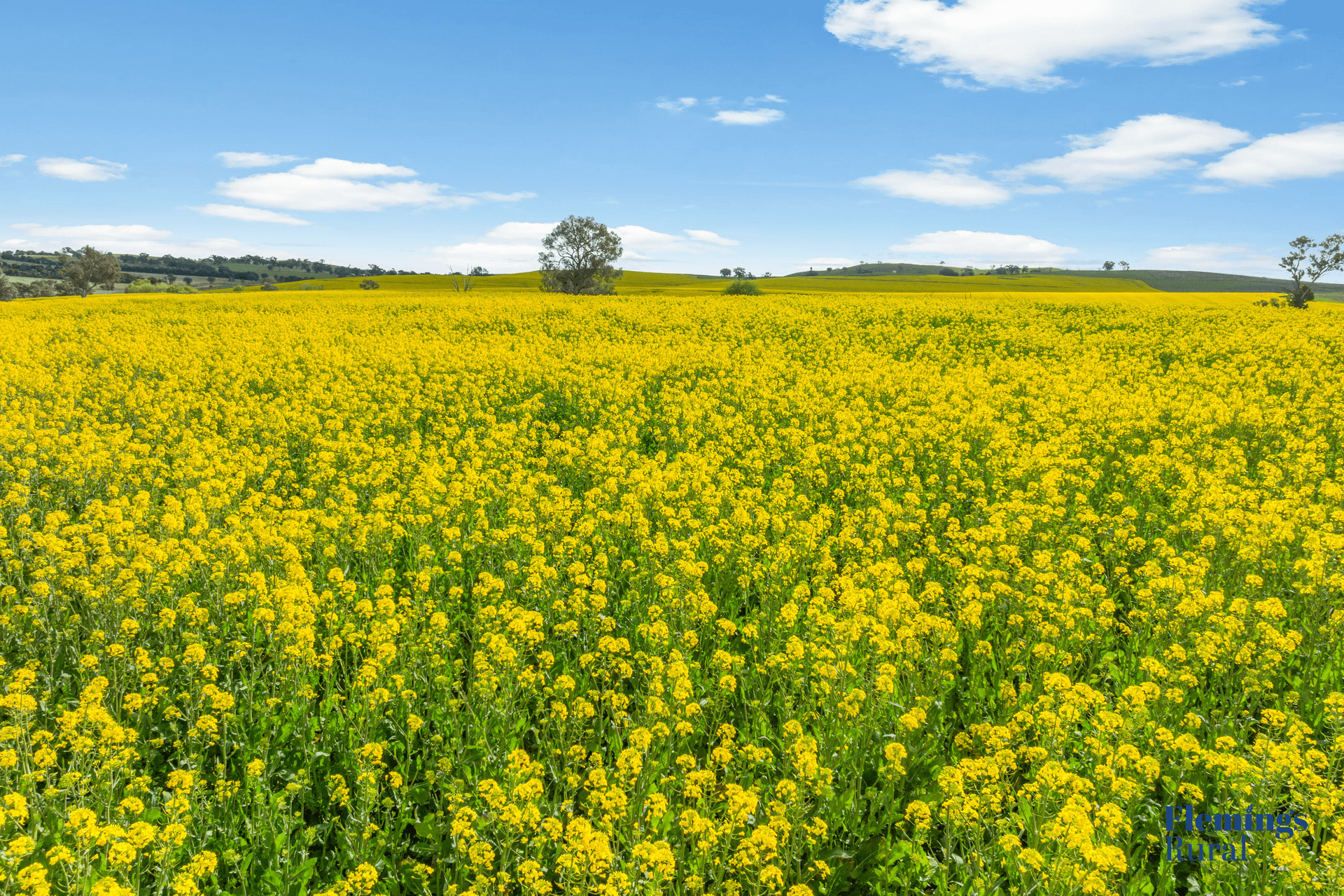 482 Rugby Road, Boorowa, NSW 2586