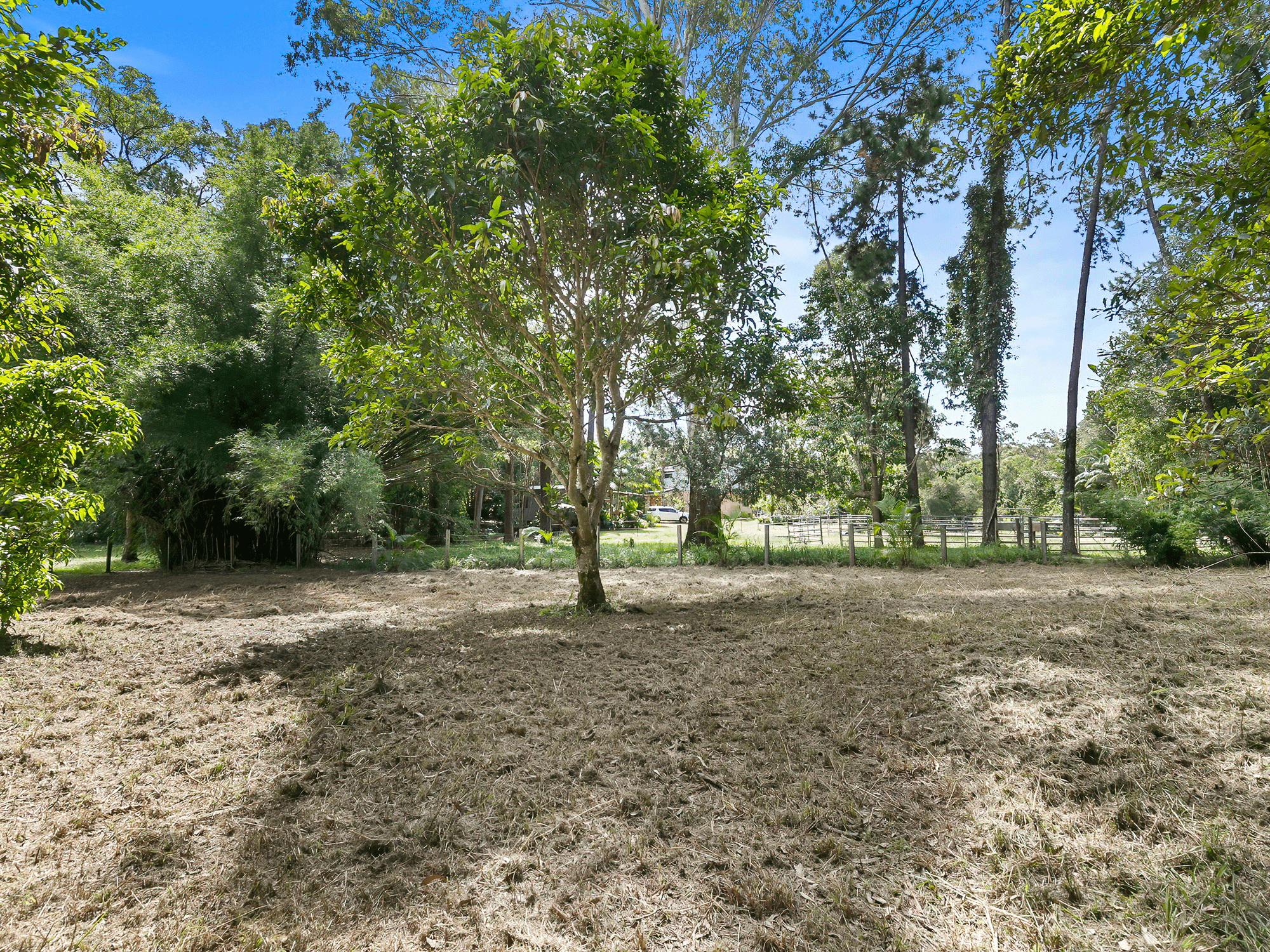 824 Eumundi Noosa Road, DOONAN, QLD 4562