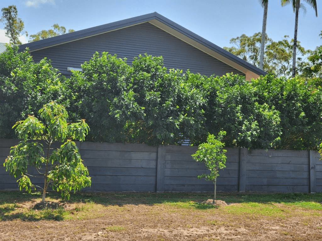 8 Richards Street, CARDWELL, QLD 4849