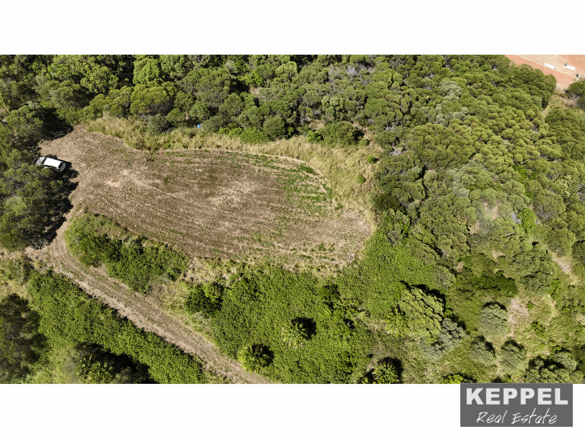 99 Clayton Road, Lammermoor, QLD 4703
