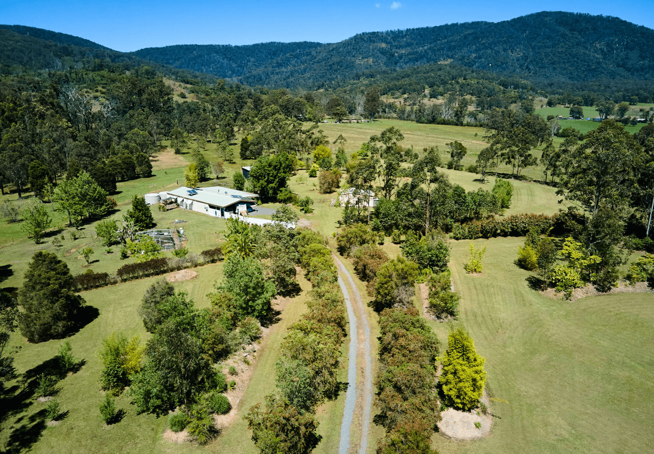 311 Careys Road, HILLVILLE, NSW 2430