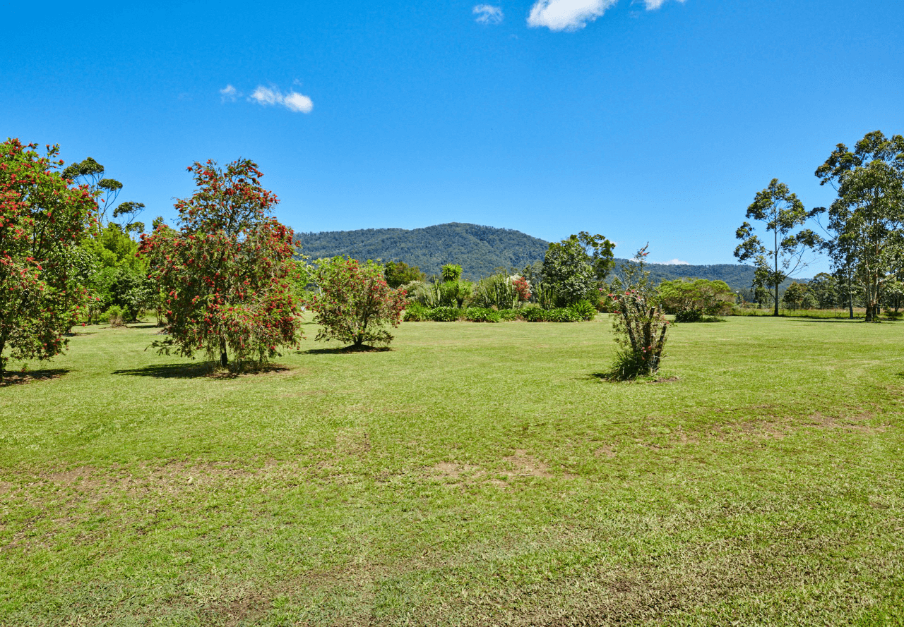 311 Careys Road, HILLVILLE, NSW 2430