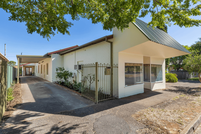 18 Salisbury Crescent, COLONEL LIGHT GARDENS, SA 5041