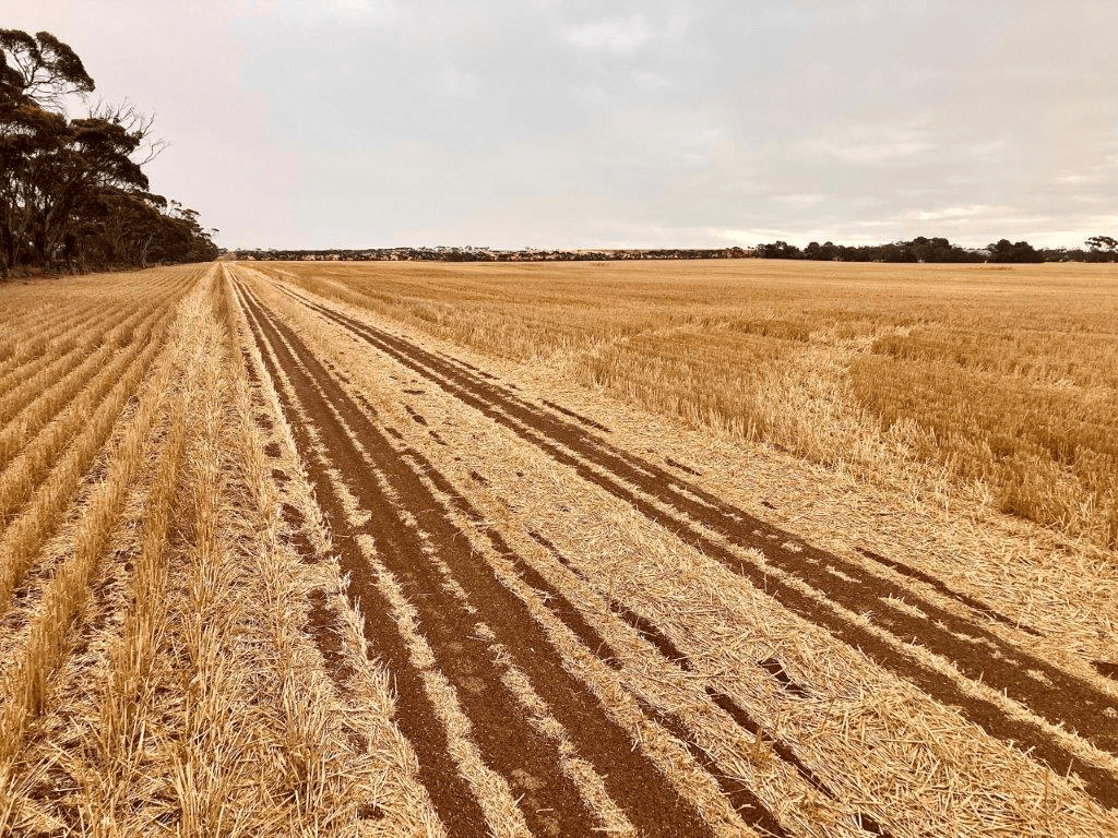 76 Polkinghorne Road, Arthurton, SA 5572