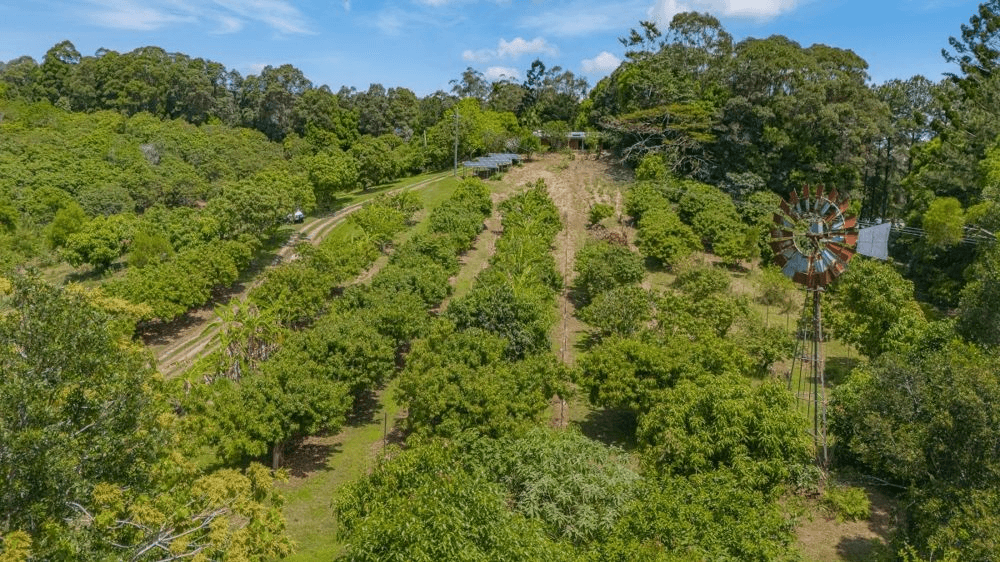 253 Palmvale Road, PALMVALE, NSW 2484