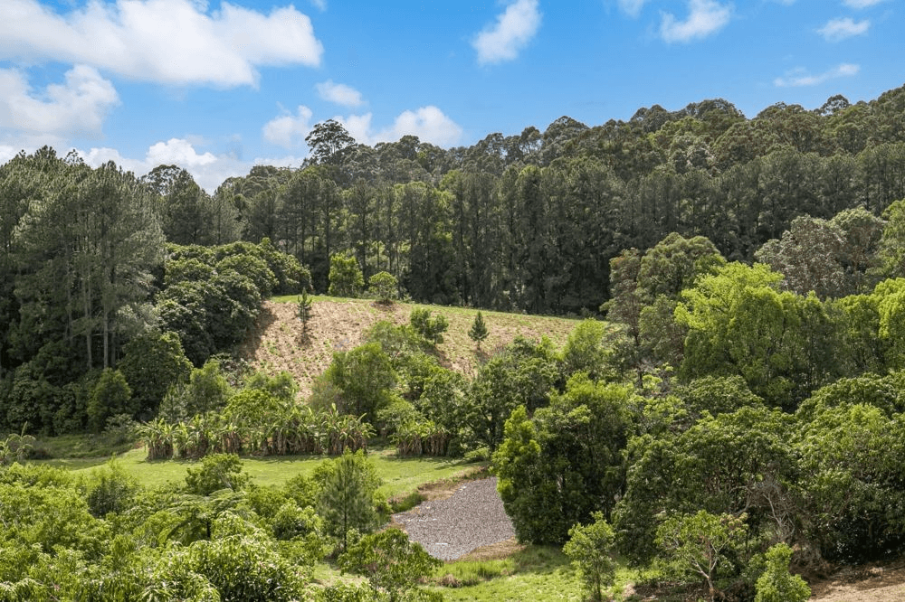 253 Palmvale Road, PALMVALE, NSW 2484