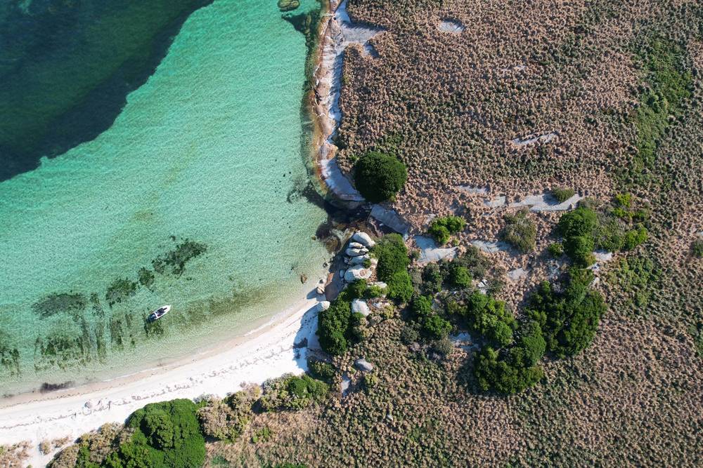 Little Dog Island off Flinders Island, LADY BARRON, tas 7255
