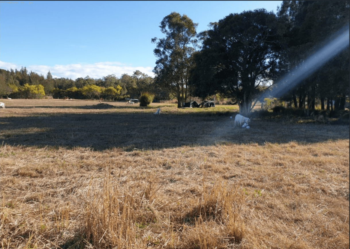 447 Tuggerawong Rd, TUGGERAWONG, NSW 2259