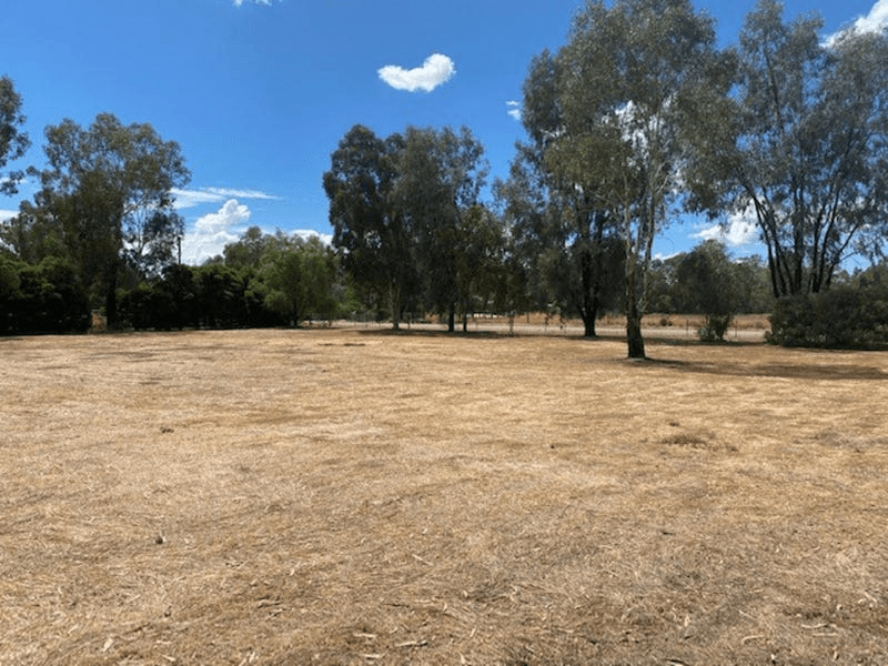 113 Glenview Drive, BARHAM, NSW 2732