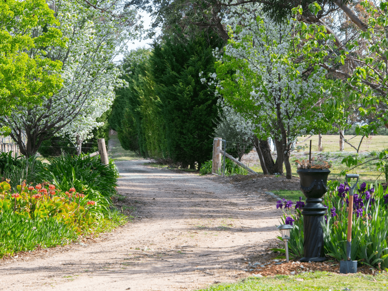 124 Bangadilly Road, CANYONLEIGH, NSW 2577