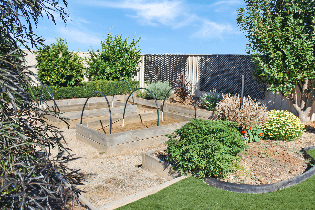 25 Chisnall Street, COROWA, NSW 2646