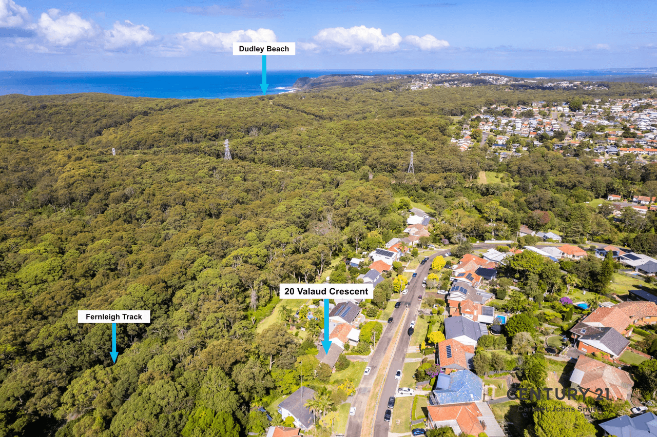 20 Valaud Crescent, Highfields, NSW 2289