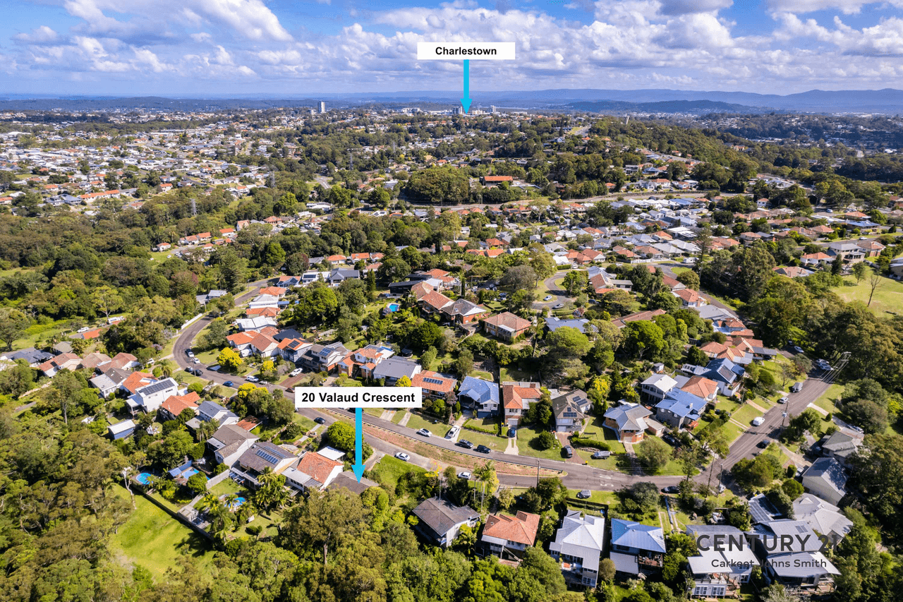 20 Valaud Crescent, Highfields, NSW 2289