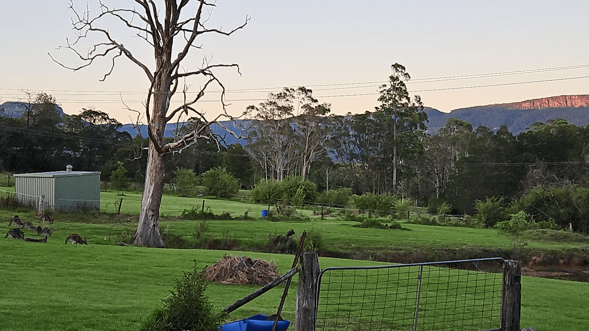 60 Mount Scanzi Road, Kangaroo Valley, NSW 2577