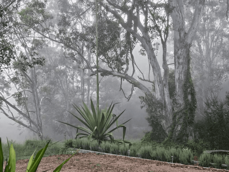 60 Mount Scanzi Road, Kangaroo Valley, NSW 2577