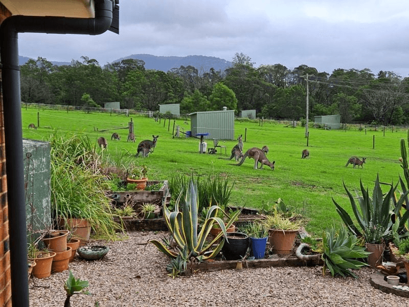 60 Mount Scanzi Road, Kangaroo Valley, NSW 2577