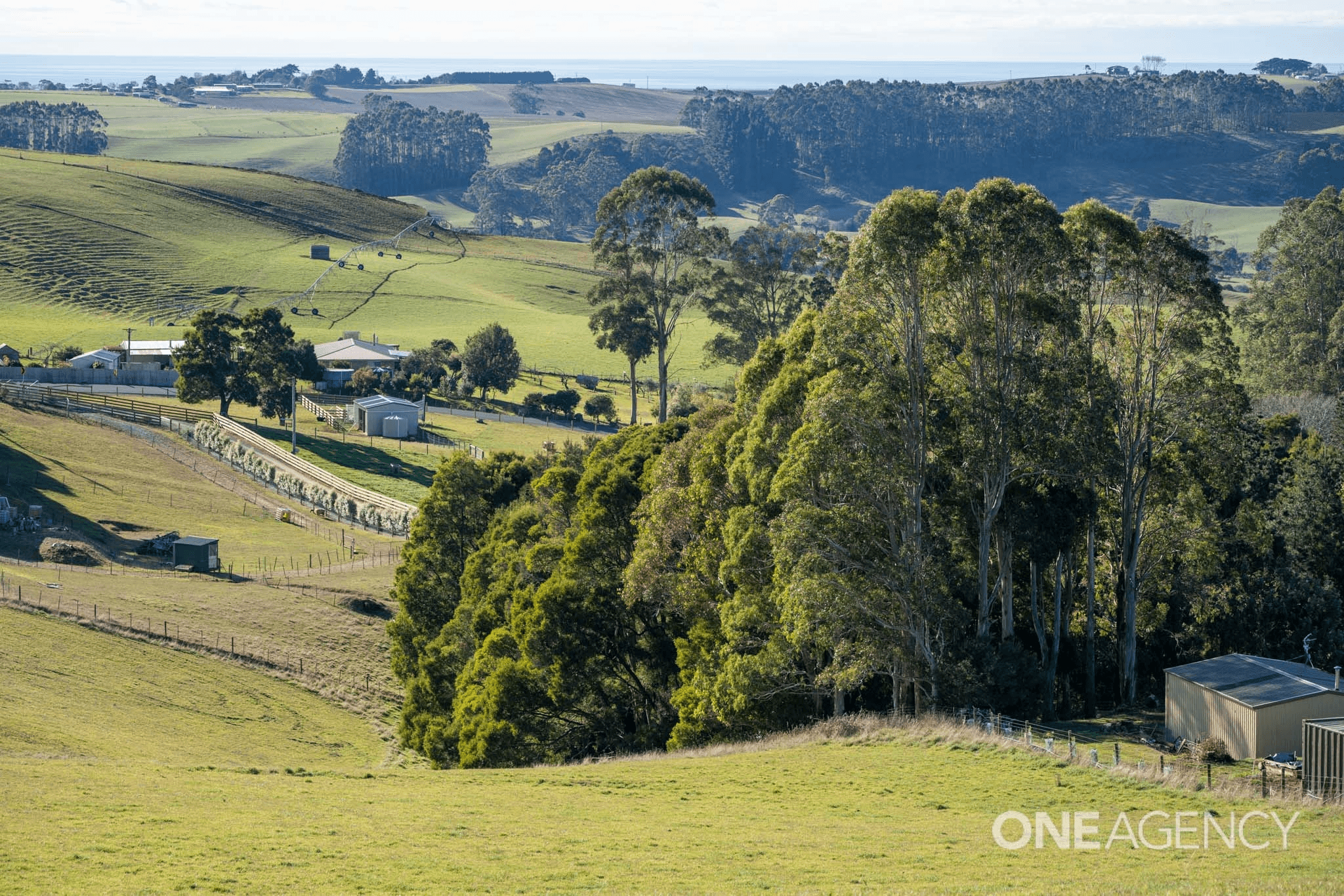 Lot 2 & 3, 455 Preolenna Road, Flowerdale, TAS 7325