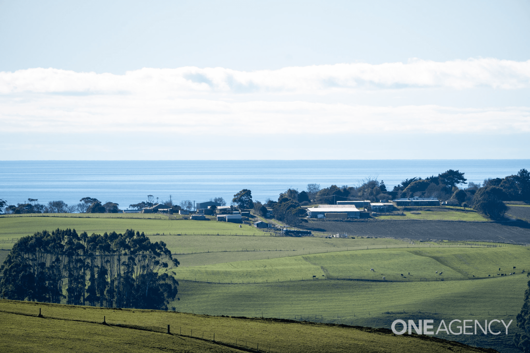 Lot 2 & 3, 455 Preolenna Road, Flowerdale, TAS 7325