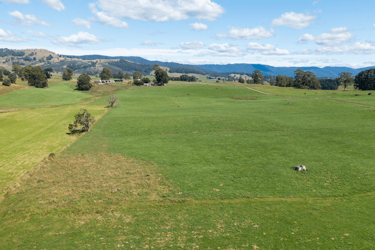 120 Holmes Road, RINGAROOMA, TAS 7263