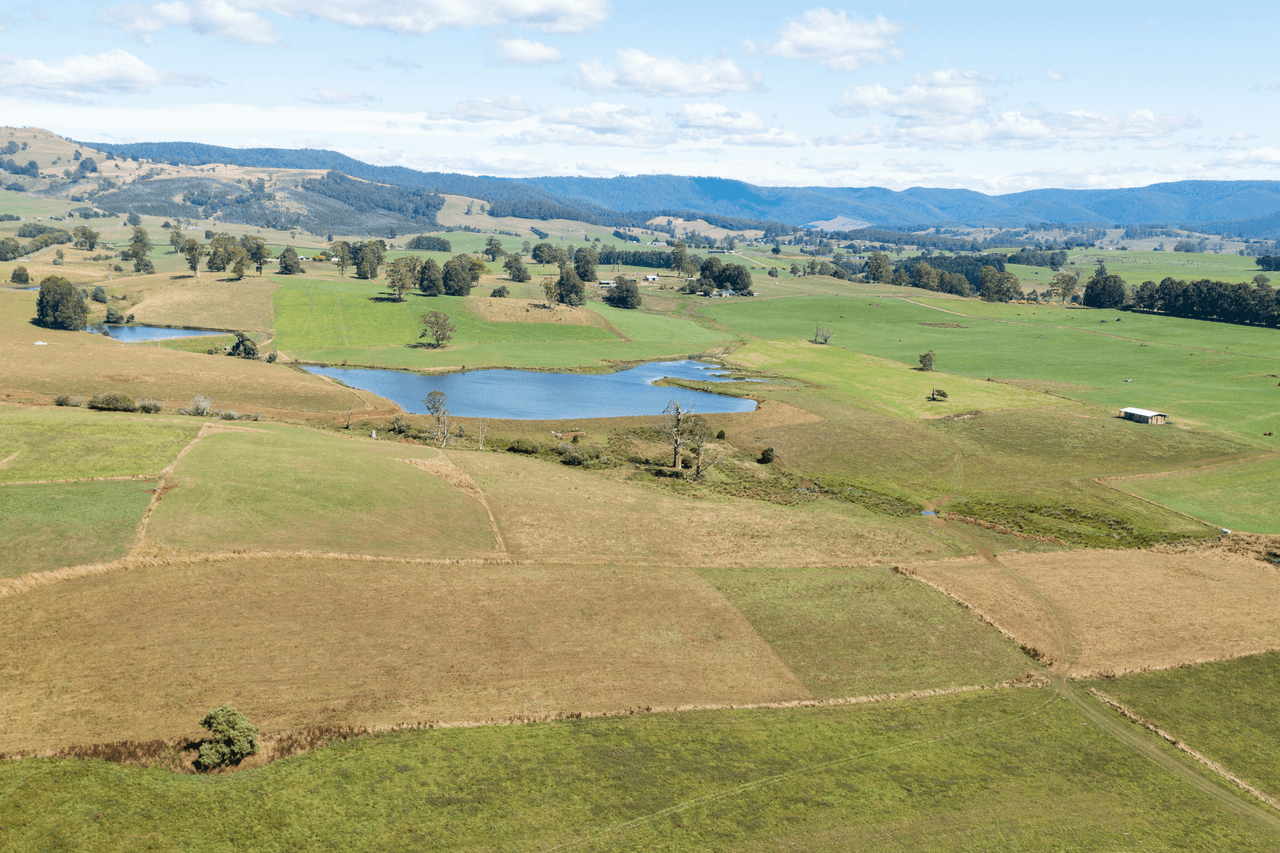 120 Holmes Road, RINGAROOMA, TAS 7263