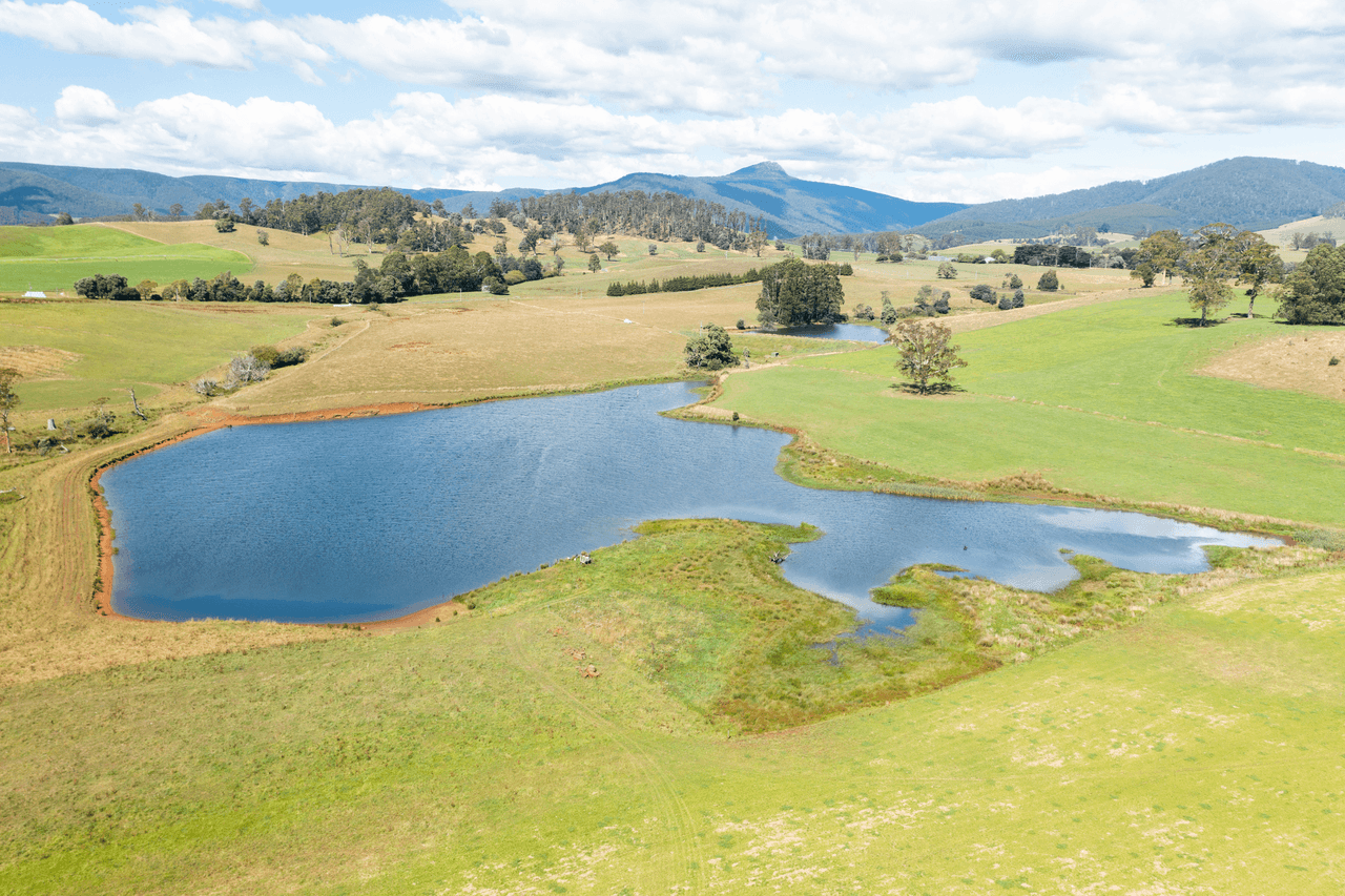 120 Holmes Road, RINGAROOMA, TAS 7263