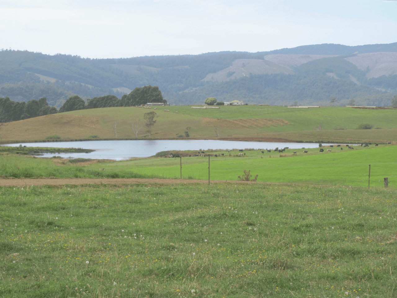 120 Holmes Road, RINGAROOMA, TAS 7263