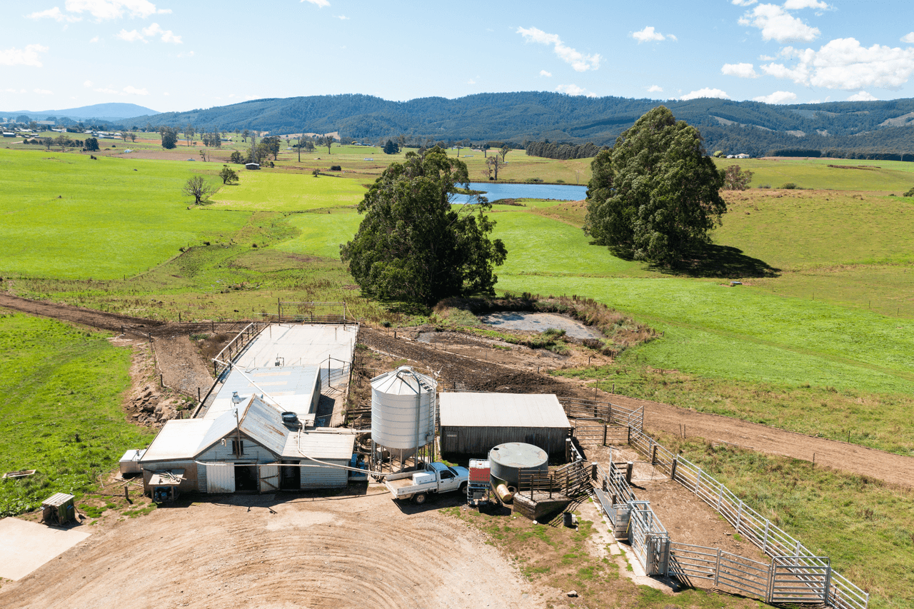 120 Holmes Road, RINGAROOMA, TAS 7263