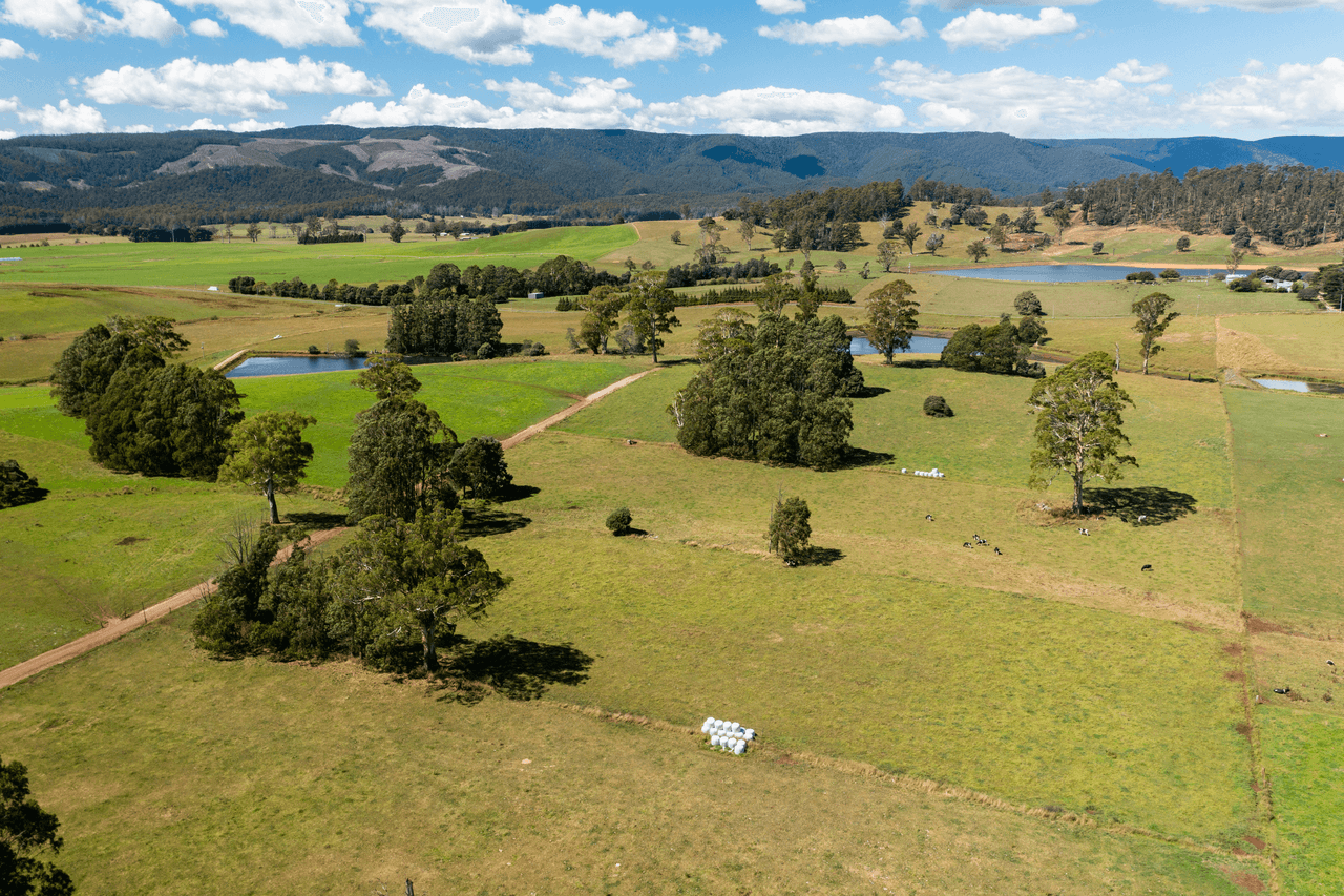 120 Holmes Road, RINGAROOMA, TAS 7263