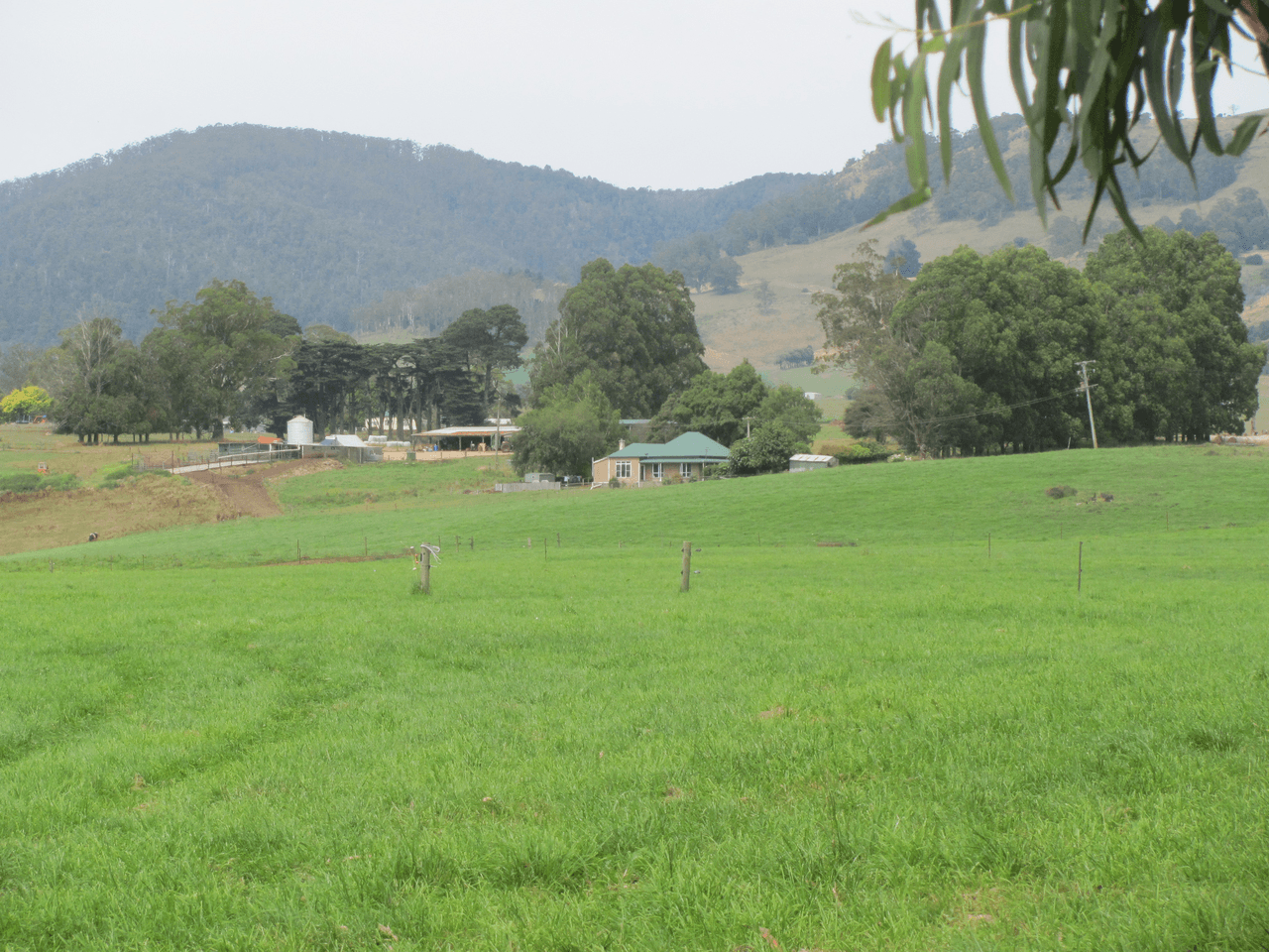 120 Holmes Road, RINGAROOMA, TAS 7263