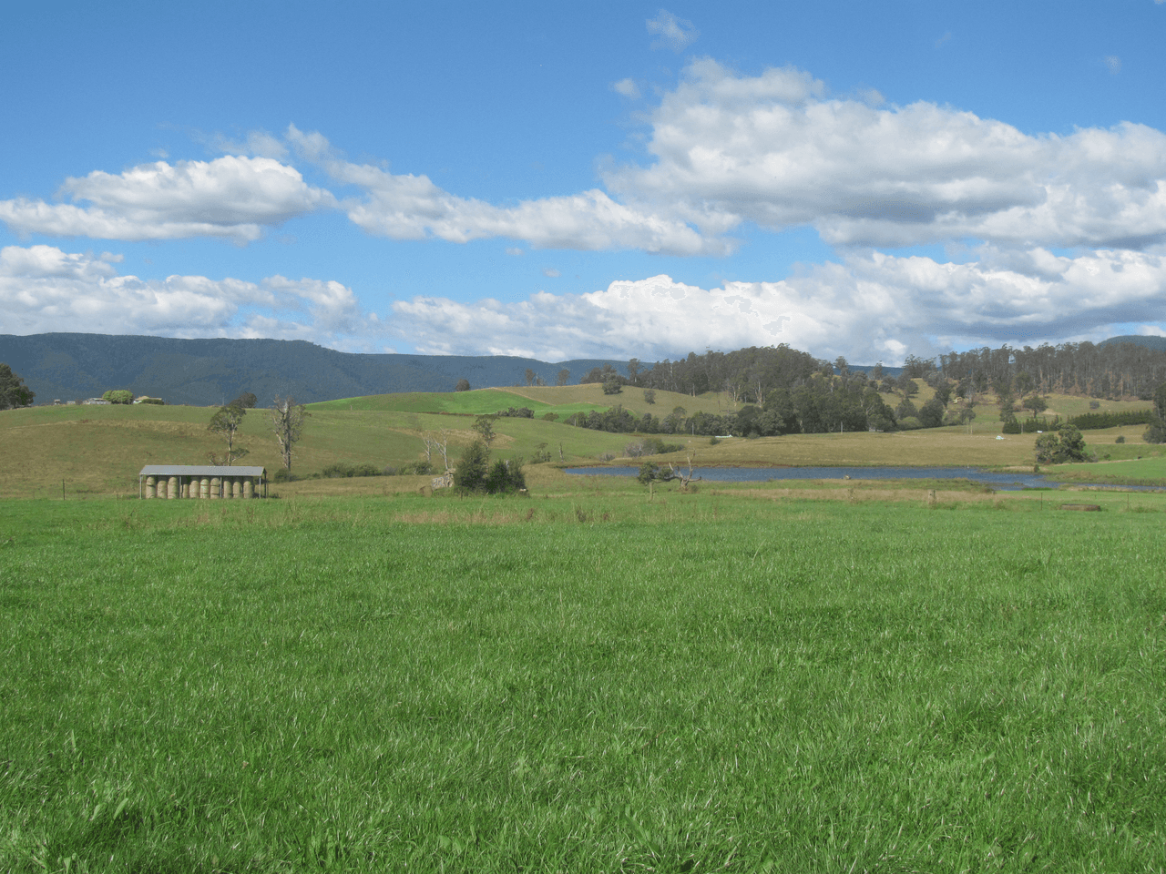 120 Holmes Road, RINGAROOMA, TAS 7263