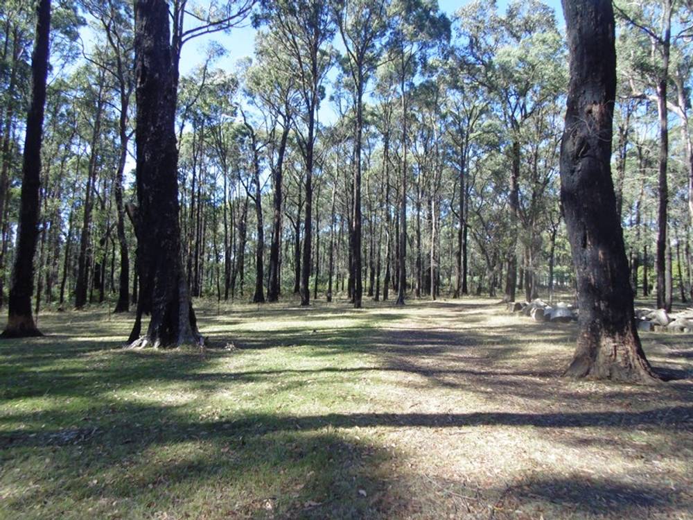 174 Edenvale Crescent, KINGLAKE WEST, VIC 3757