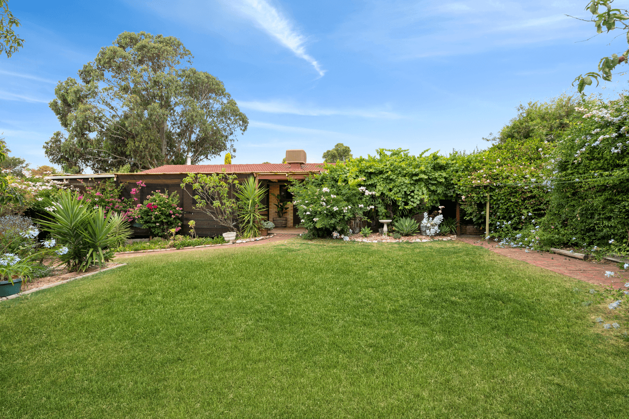 6 Vine Street, MCLAREN VALE, SA 5171