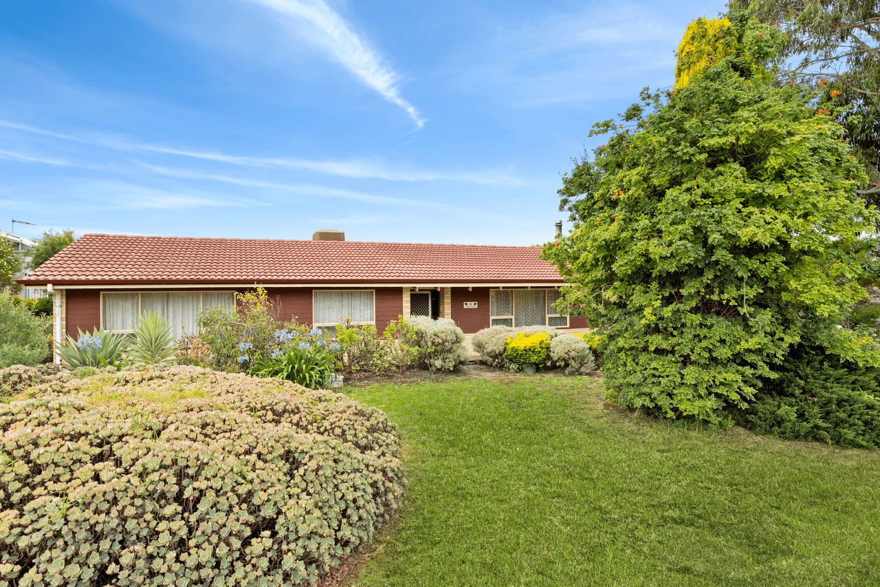 6 Vine Street, MCLAREN VALE, SA 5171