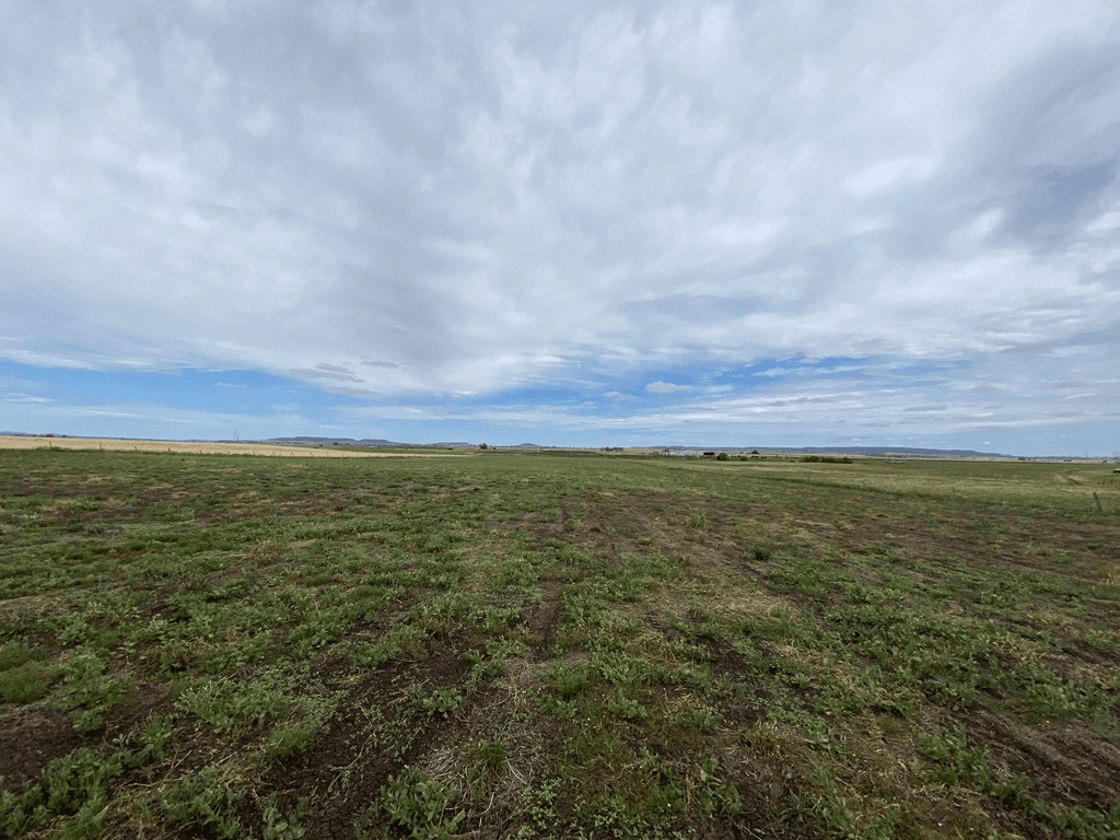 Lot 7 New England Highway, NOBBY, QLD 4360