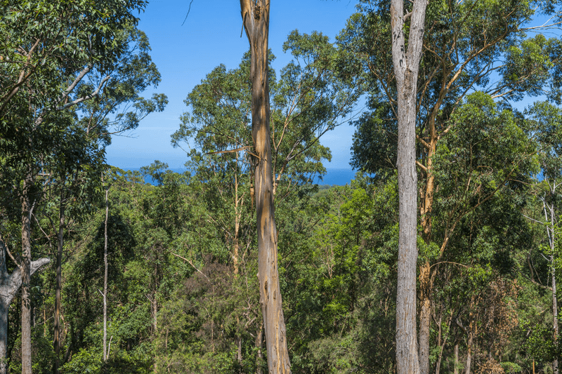 Lot 702 Bowerbird Lane, VALLA, NSW 2448