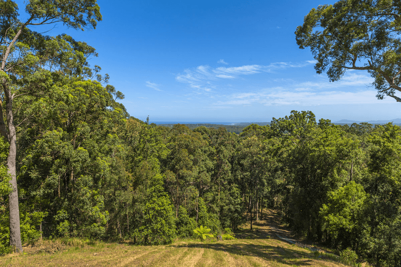 Lot 702 Bowerbird Lane, VALLA, NSW 2448