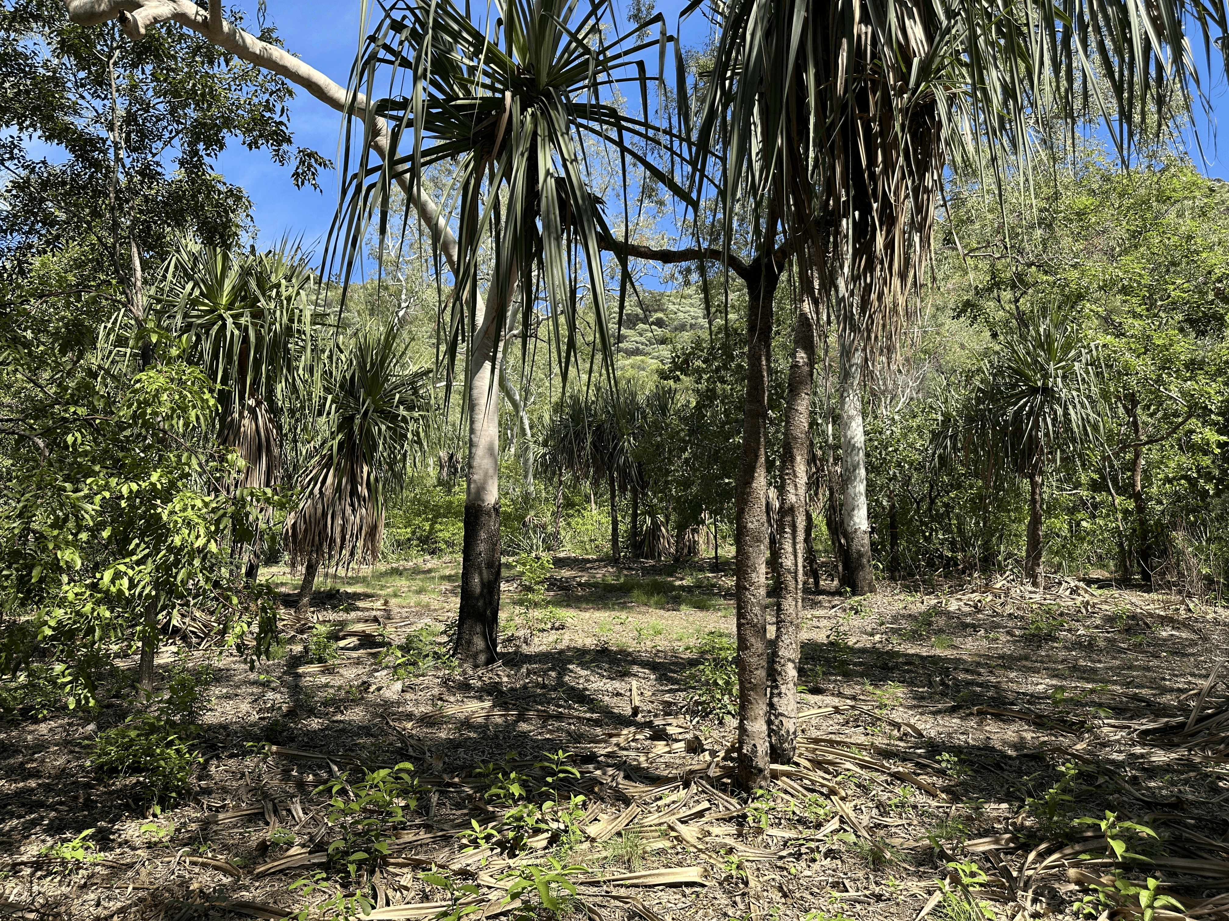 135 Horseshoe Bay Rd, Horseshoe Bay, QLD 4819
