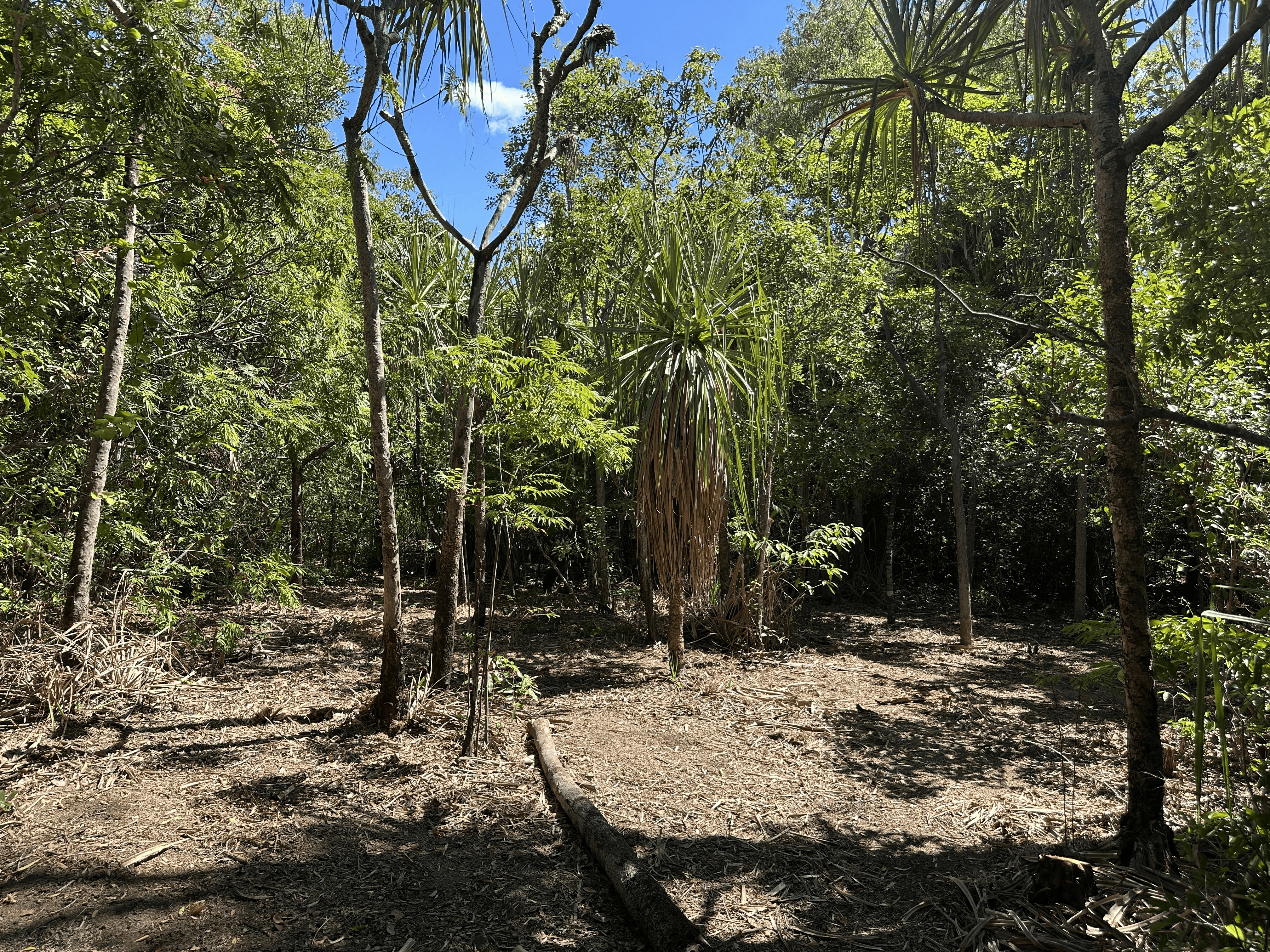 135 Horseshoe Bay Rd, Horseshoe Bay, QLD 4819