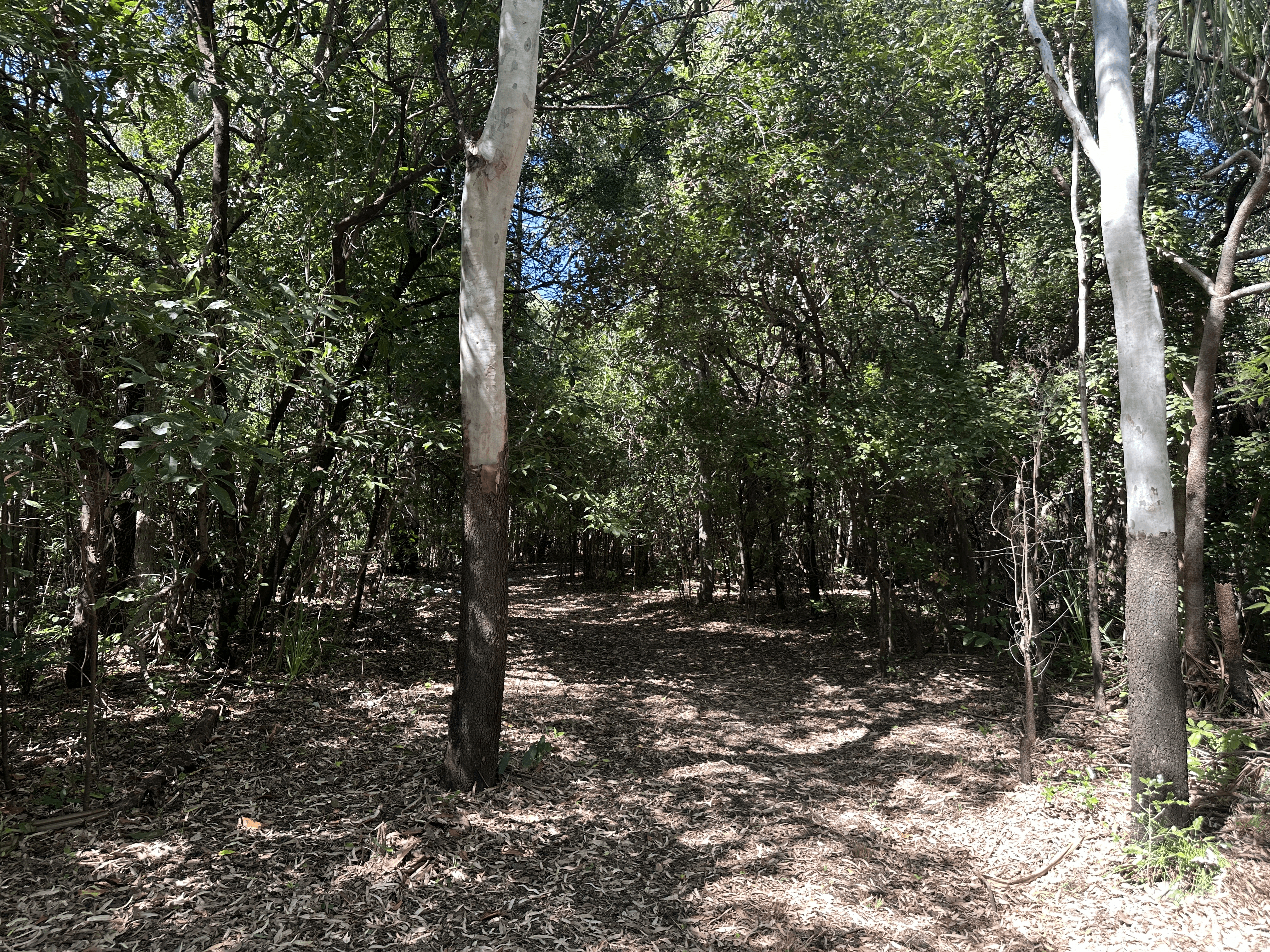 135 Horseshoe Bay Rd, Horseshoe Bay, QLD 4819