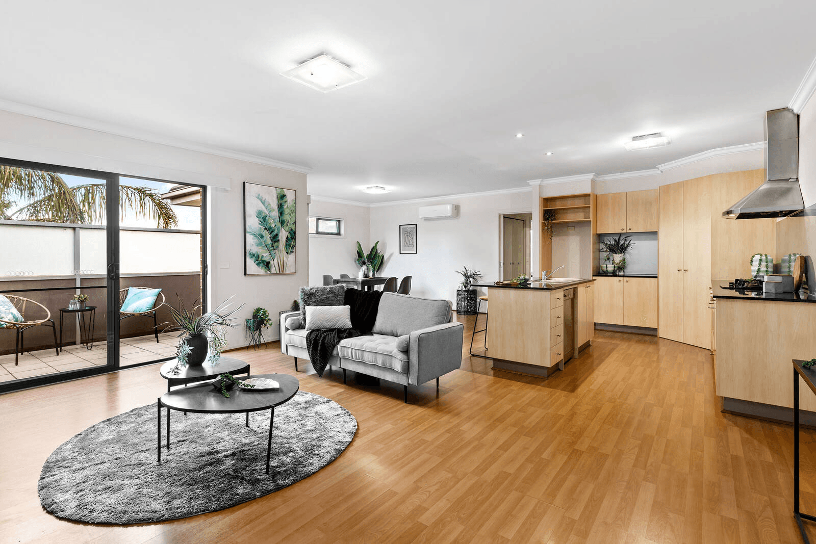 14/24 Rose Street, BOX HILL, VIC 3128