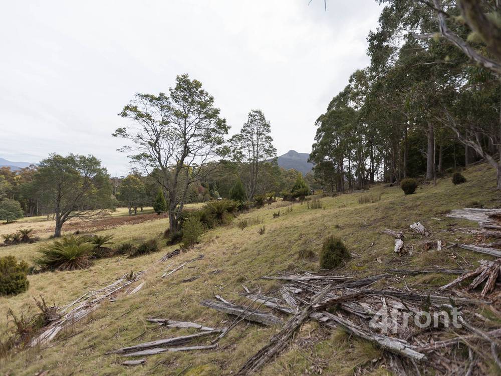 141 Tiers View Road, Golden Valley, TAS 7304