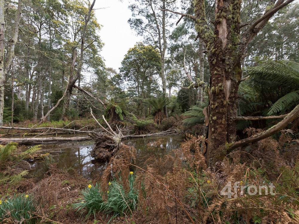 141 Tiers View Road, Golden Valley, TAS 7304