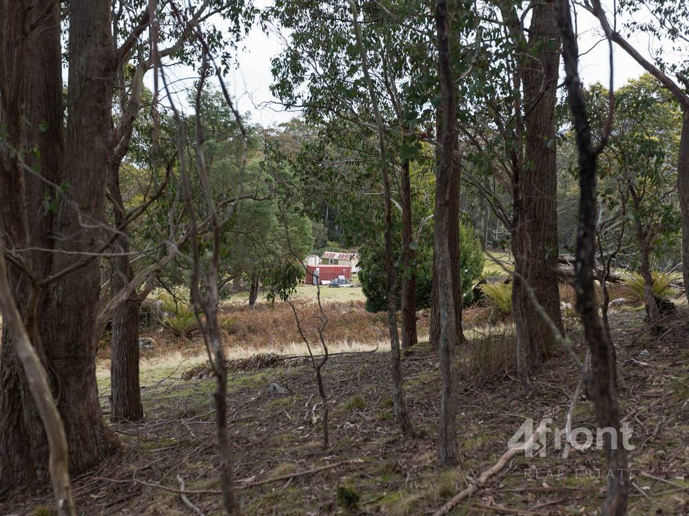 141 Tiers View Road, Golden Valley, TAS 7304