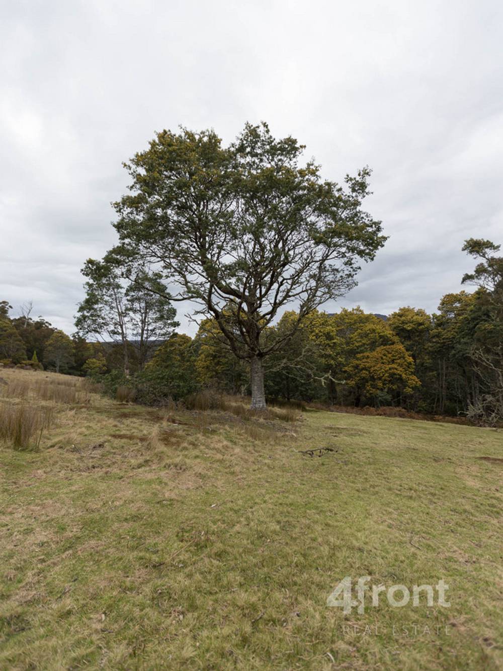141 Tiers View Road, Golden Valley, TAS 7304