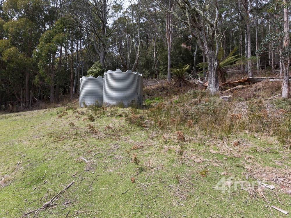 141 Tiers View Road, Golden Valley, TAS 7304