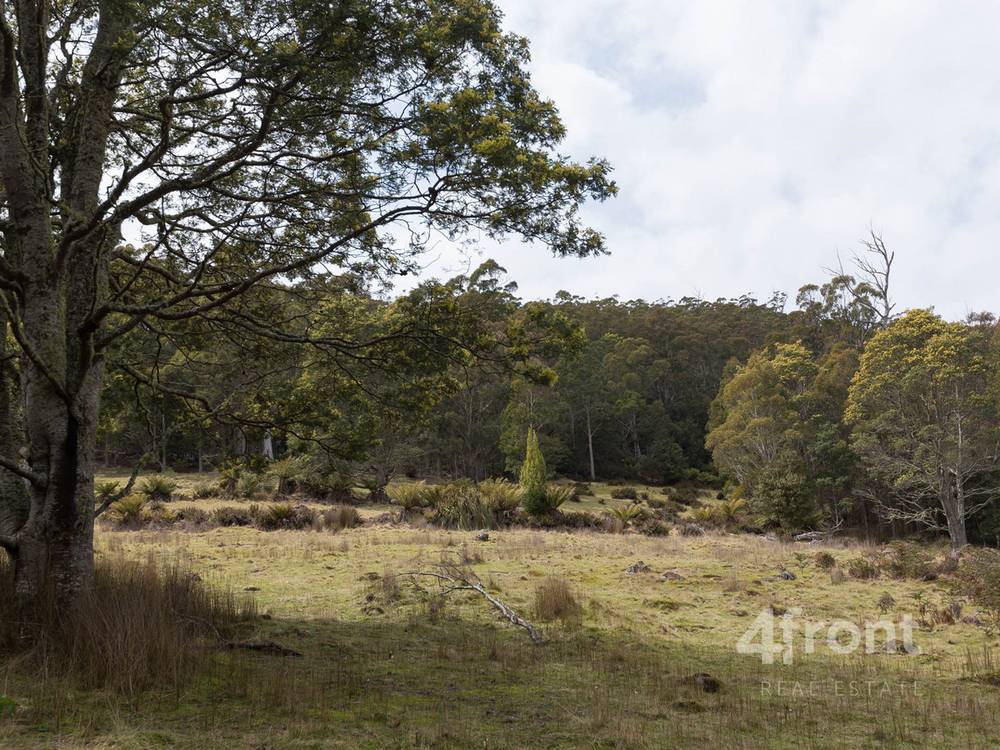 141 Tiers View Road, Golden Valley, TAS 7304