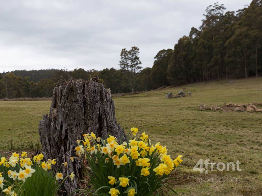 141 Tiers View Road, Golden Valley, TAS 7304